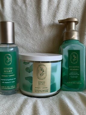 therapy Stress Relief Eucalyptus + Spearmint Hand Soap & Care Set - Green